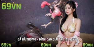 avt da ga thomo 69vn đá gà thomo